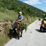 quad safari supetar, quad safari supetar gastro, quad safari bol, rent a quad supetar, rent a quad bol, najam quad bol, najma quad supetar, brac adventure, island tour, gastro tour, golden horn beach, zlatni rat beac