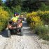 QUAD SAFARI SUPETAR