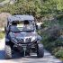 BUGGY – 550 ccm