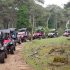 BUGGY SAFARI BOL GASTRO
