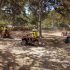QUAD SAFARI BOL GASTRO
