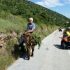 QUAD SAFARI SUPETAR GASTRO